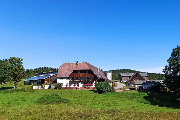 Einen schönen und entspannten Urlaub auf unserem Zuckerbauerhof - dem Schwarzwald Bauernhof