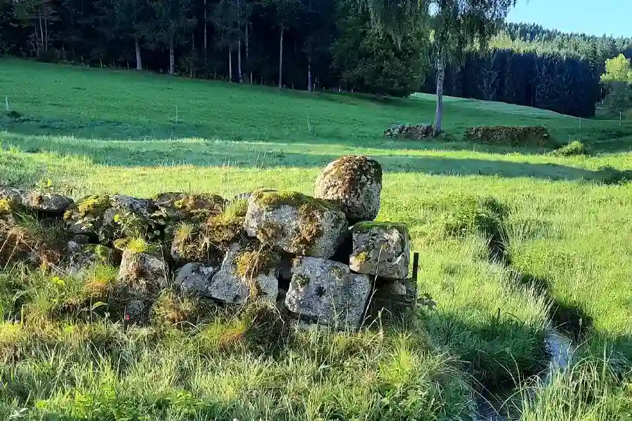 Zuckerbauer und Nachhaltigkeit 1