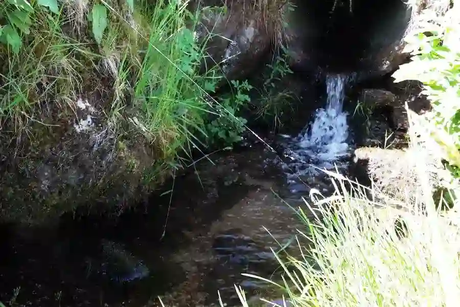 Zuckerbauer und Nachhaltigkeit 3 1