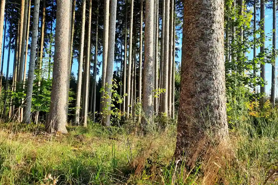 Zuckerbauer und Nachhaltigkeit 6