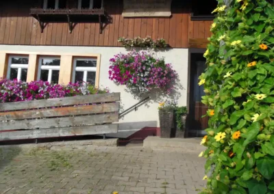 Zuckerbauernhof Fruehling